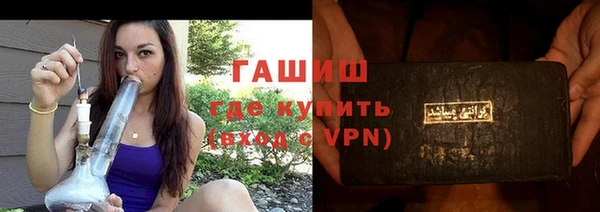 индика Белокуриха