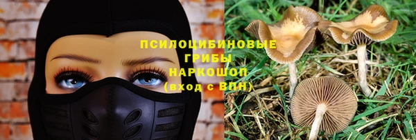 бутират Бугульма
